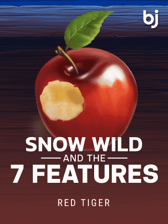 SnowWildandthe7Featurespng game icon